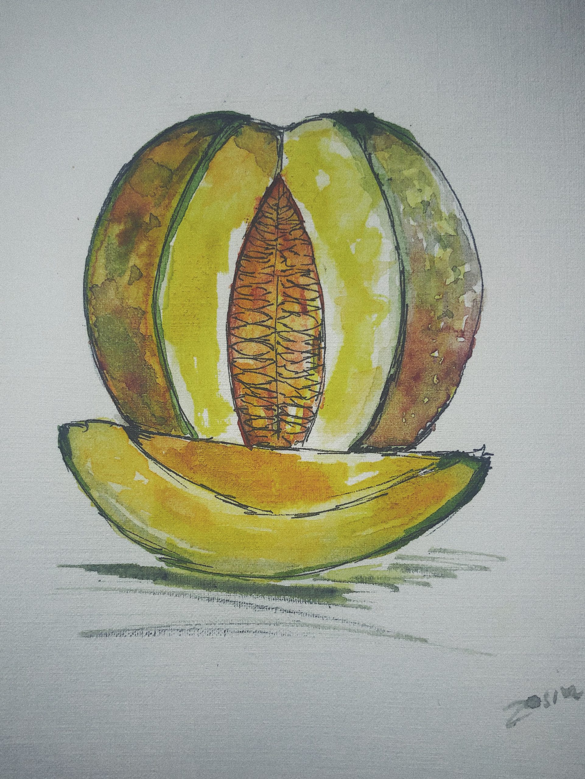 Melon rysunek